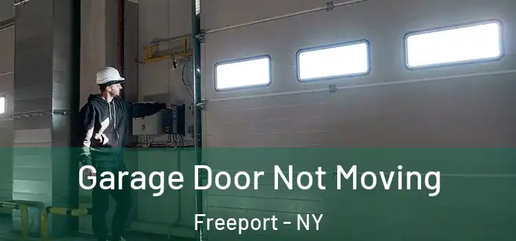  Garage Door Not Moving Freeport - NY